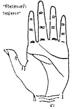 ตำราลายมือ-เส้นชีวิต เส้นที่ 7
