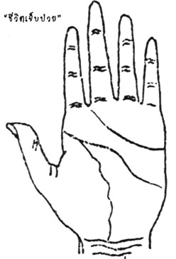 ตำราลายมือ-เส้นชีวิต เส้นที่ 8